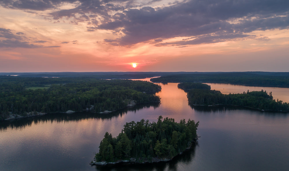 Turtle Island's Boreal Forest