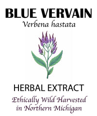 Thumbnail for Blue Vervain Tincture