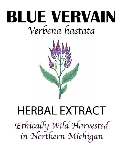 Blue Vervain Tincture