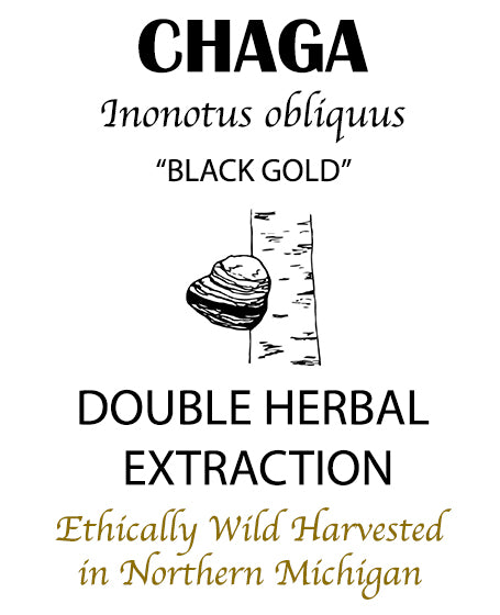 Chaga Double Extract Tincture