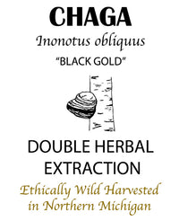 Thumbnail for Chaga Double Extract Tincture