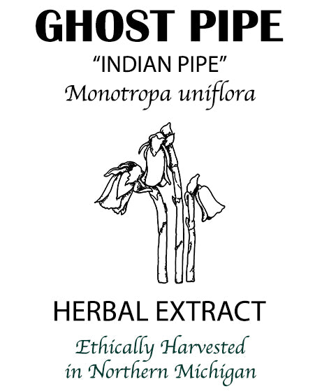 Ghost Pipe Tincture