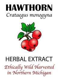 Thumbnail for Fresh Hawthorn Berry Tincture