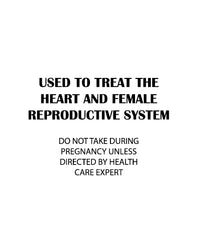 Thumbnail for Motherwort Tincture