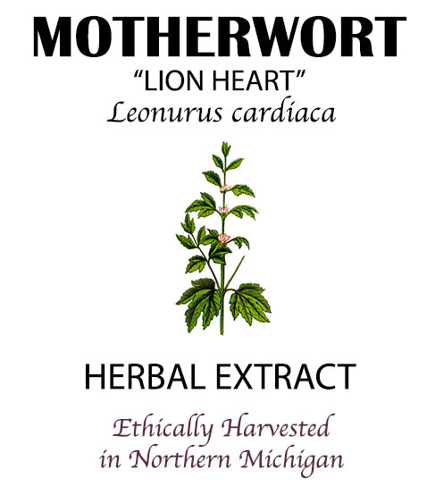Motherwort Tincture