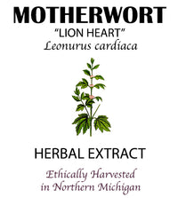 Thumbnail for Motherwort Tincture
