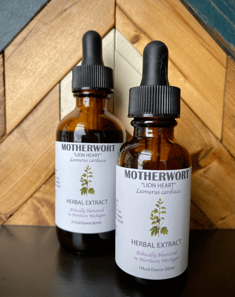 Motherwort Tincture